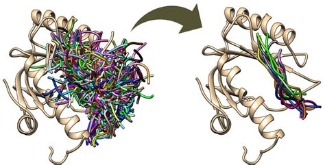 Molecular Dynamics Scoring of Protein–Peptide Models Derived from ...