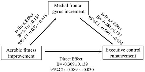 Brain Structure, Cardiorespiratory Fitness, and Executive Control ...