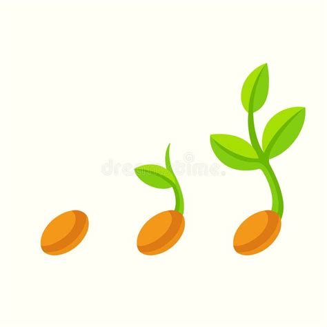 Sprouting Seed Illustration Stock Vector - Illustration of grow ...