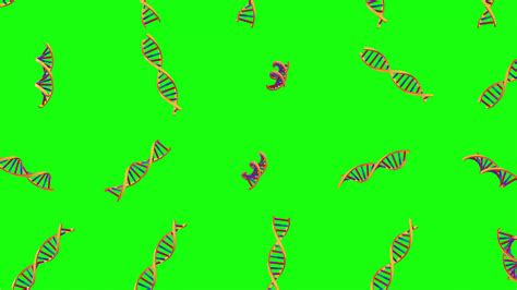 Image result for Genetic Algorithm Animation