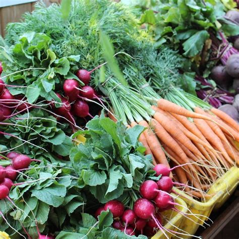 Produce 的图像结果