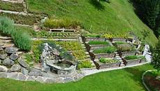 ich suche garten bauerngarten am hang suche garten bauerngarten ich suche garten bauerngarten am hang suche garten bauerngarten