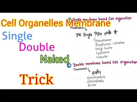 Short Tricks: Cell - The Unit of Life Video Lecture - Tips and Tricks ...