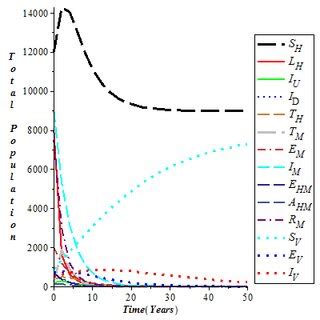 Image result for Dynamic Equilibrium Population Graph
