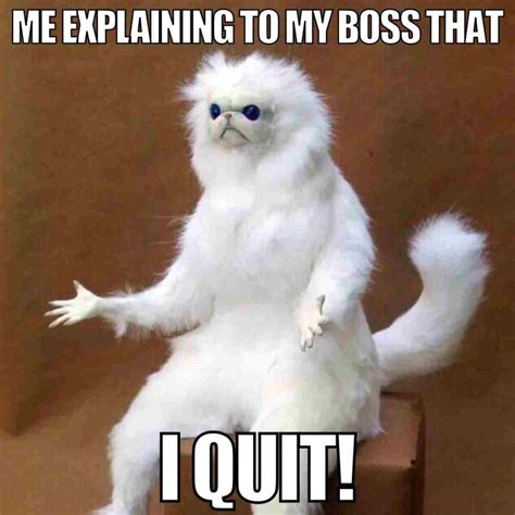 25 Best Unemployment Memes: Layoffs Quitting And Being Fired