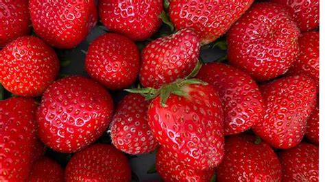 Do Strawberries Have Health Benefits at Susan Cochrane blog