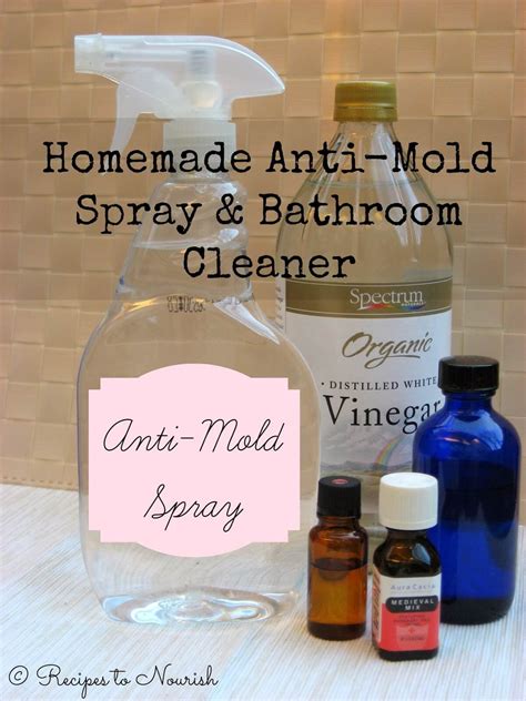 Anti-Mold Spray and Bathroom Cleaner | Mold spray, Cleaners homemade ...