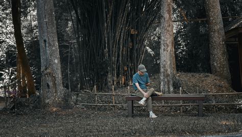 Wallpaper Slideshow 的图像结果