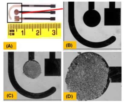 Dr. Chandra Sekhar Rout. Research | CNMS