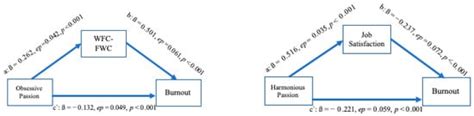From Passion to Burnout: The Role of Work–Family Conflict and Job ...