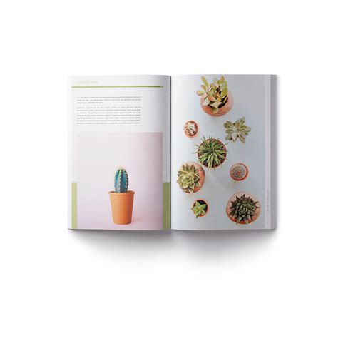 InDesign 的图像结果