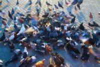 'Handhaaf handhaving! Een Belangrijke boodschap richting het ...