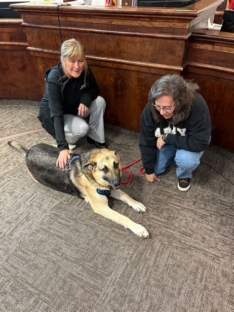 Ashtabula Municipal Court | Ashtabula OH