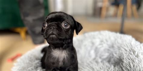 Science News 的图像结果