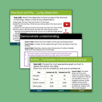 Image result for Free Science Lessons Gas Exchange