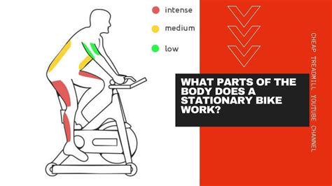 Exercise Bike vs Elliptical Machine 的图像结果