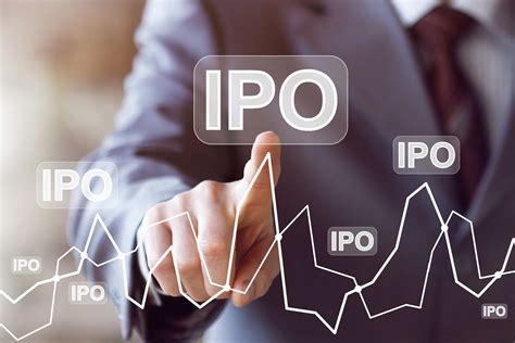 What is an IPO (Initial Public Offering)? – Napkin Finance