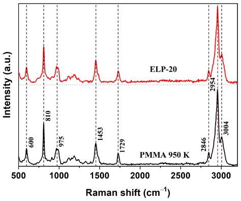 Comprehensive Investigation of the Commercial ELP-20 Electron-Beam ...
