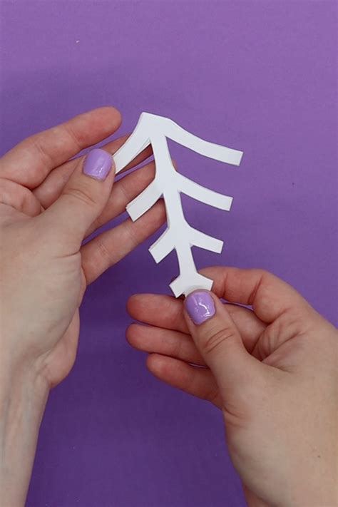 Image result for Spider Web Printable