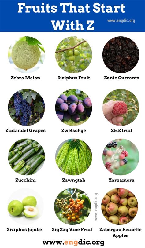 15 Exotic Fruits That Start With Z