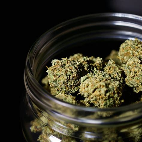 Does Weed Expire? Knowing Cannabis Shelf Life