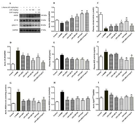 Antihypertensive Effects of Lotus Seed (Nelumbo nucifera Gaertn ...