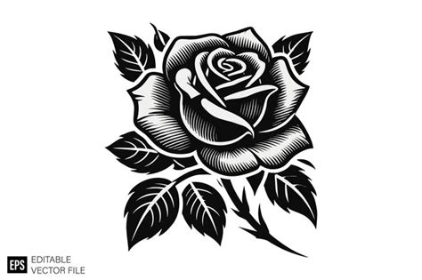 Rose-Vektor-Illustrations-Design-Vorlagen in Schwarz-Weiß | Premium KI ...