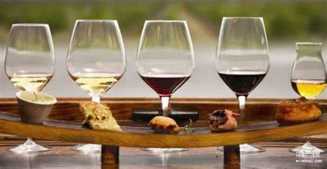 葡萄酒搭餐：什么葡萄酒最搭鲜味食材？
