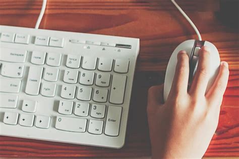 Computer User 的图像结果