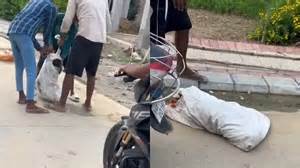 News in shorts | Get full news on click | News in 100 words.