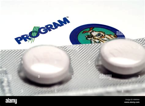 Image result for Program Flea Control Injection