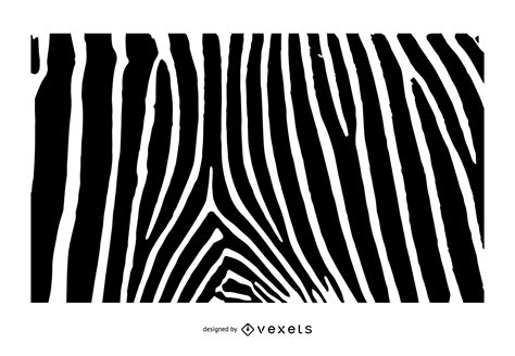 Image result for Zebra Print