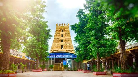 Srisailam Tour 1 Night 2 Days | SVR - Tours and Travel
