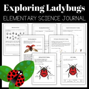 Image result for Ladybug Science
