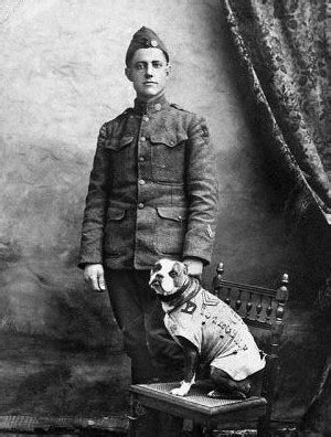 Stubby the War Dog: Would Warn About Gas, Saved Countless Lives, Earned ...