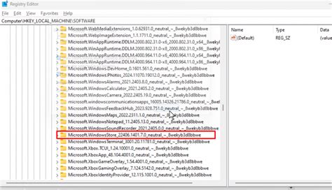 Image result for Microsoft Store Reset Error Purge Cache