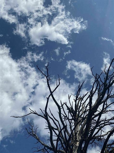 Soldiers Pass Cave Spur Trail - Arizona | AllTrails