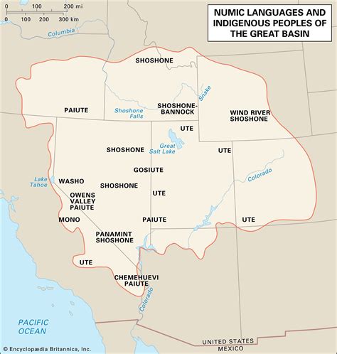 Great Basin Desert Food Web