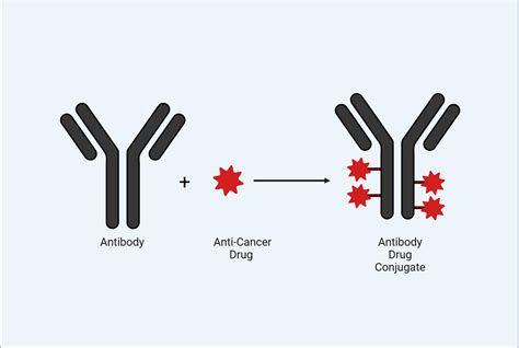 Image result for Positive Control vs Negative Control