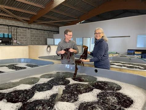 « On s’émerveille toujours » : Valérie et Jean-Marie Pédron, l’amour ...