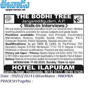 Jangareddigudem The Bodhi Tree Teachers, PET, Special Educator ...