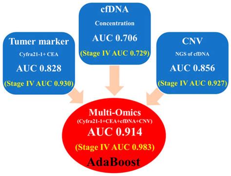 Enhancing Lung Cancer Classification through Integration of Liquid ...