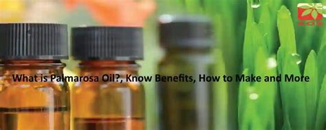 What is Palmarosa Oil - Check the Purity of the Oil | Blog Online