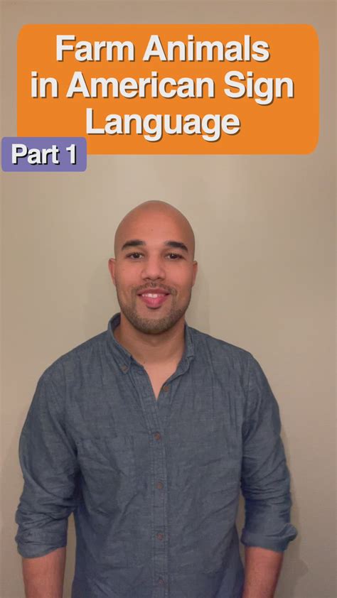 13 Signing animals ideas | asl sign language, sign language words, sign ...