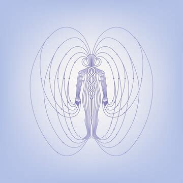 Human Energy Field Types 的图像结果