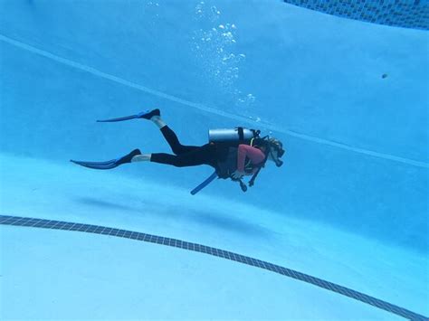 Neptunes Divers PR (Manati) - 2022 What to Know Before You Go (with ...