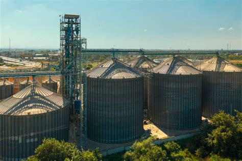 Centre to set up steel silos to store rice for a longer period