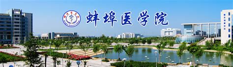 蚌埠医学院是一本还是二本 —中国教育在线