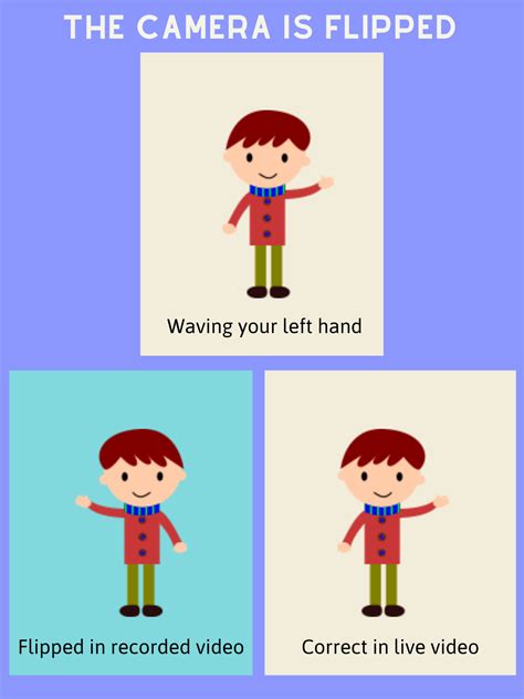 Image result for Camera Flip Error