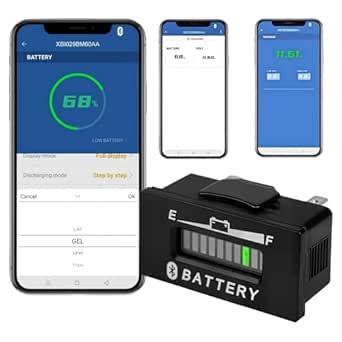 Runleader DC 12V/24V 36V 48V Bluetooth Battery Indicator,Battery ...